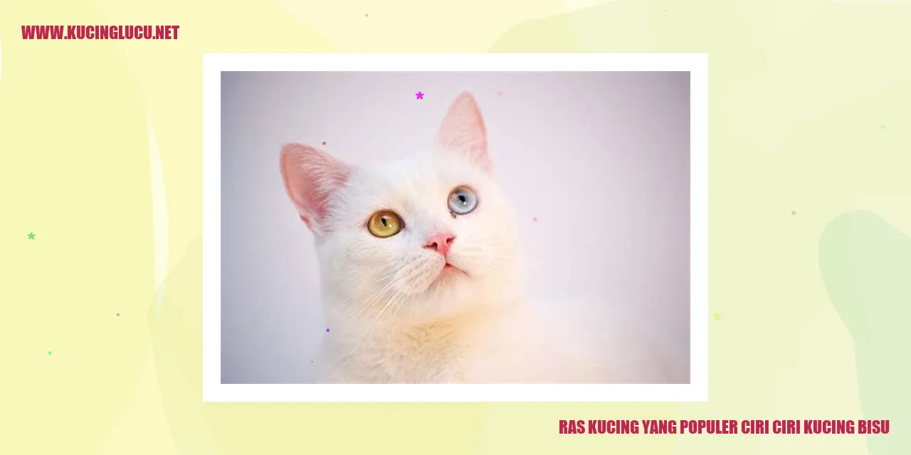 Ras Kucing yang Terkenal: Karakteristik Kucing Bisu