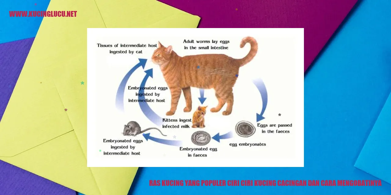 Ras Kucing yang Populer: Ciri-Ciri Kucing Cacingan dan Cara Mengobatinya