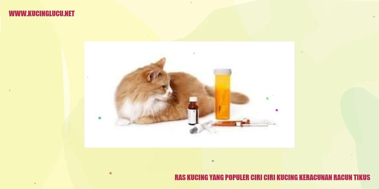 Gambar kucing