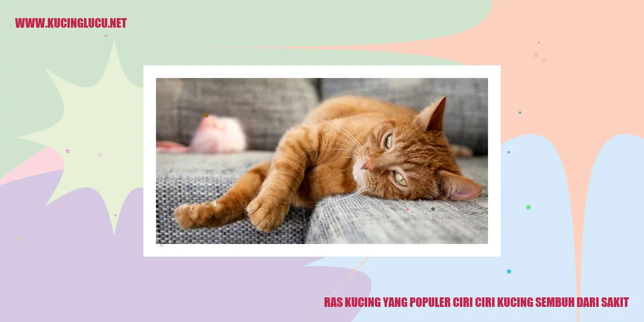Ras Kucing yang Terkenal dan Tanda-tanda Kesehatan Mereka yang Membaik saat Sakit