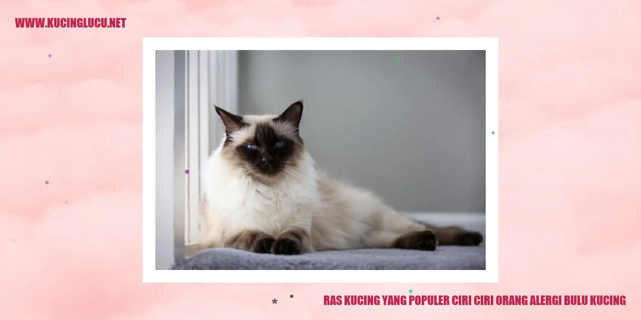 Ras Kucing yang Populer ciri-ciri orang yang alergi bulu kucing