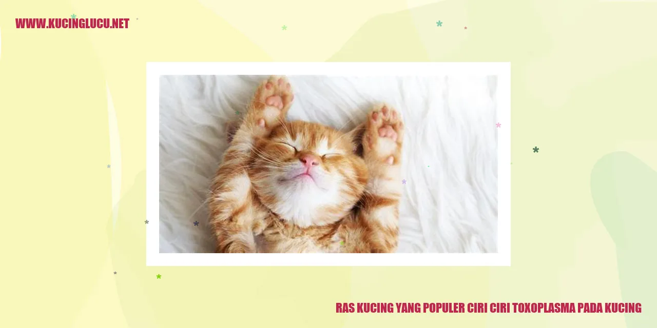 Kucing bersama anaknya