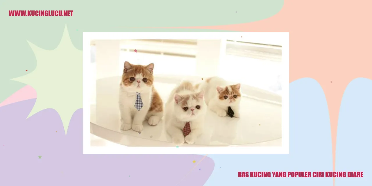 Gambar kucing yang populer