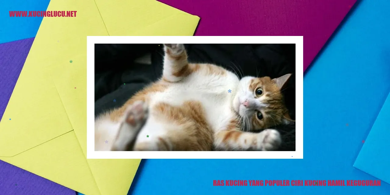 Ras Kucing yang Terkenal dengan Tanda-tanda Kucing Hamil yang Mengalami Keguguran