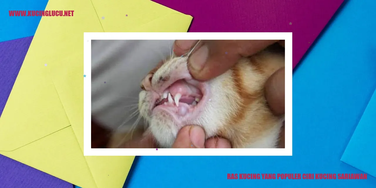 Gambar kucing lidah terluka