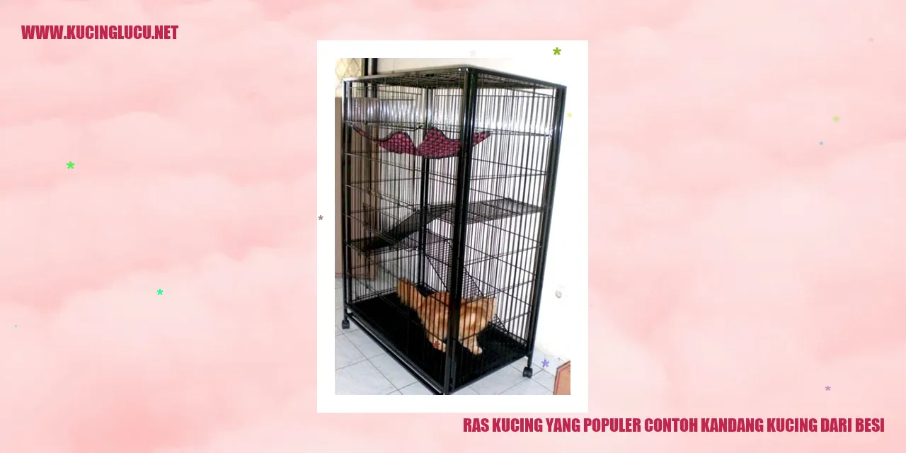 Ras Kucing yang Populer: Contoh Kandang Kucing dari Besi