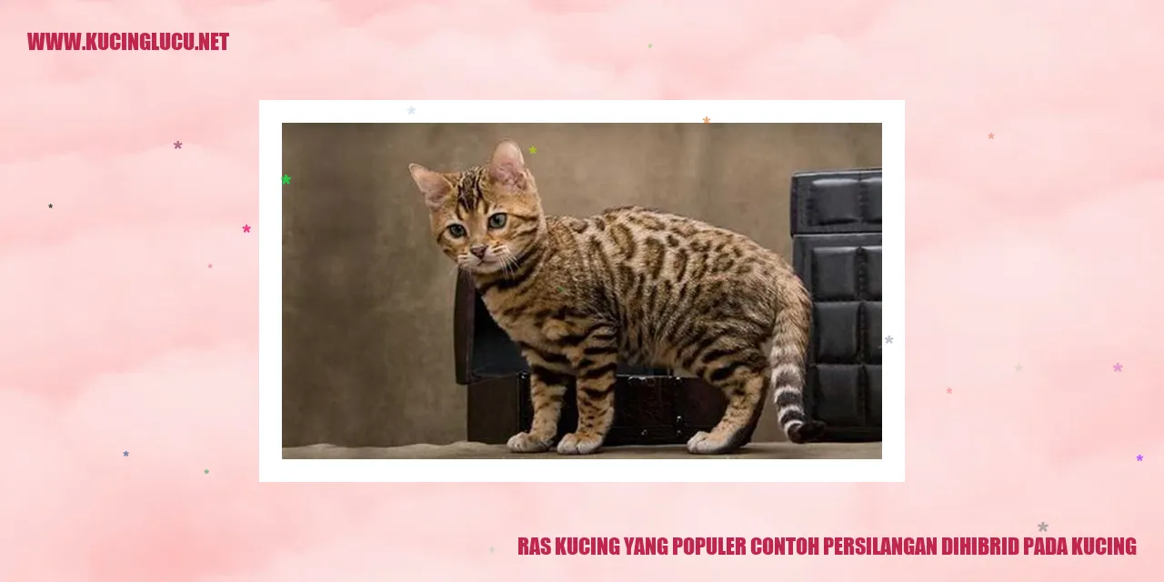 Ras Kucing yang Populer contoh persilangan dihibrid pada kucing
