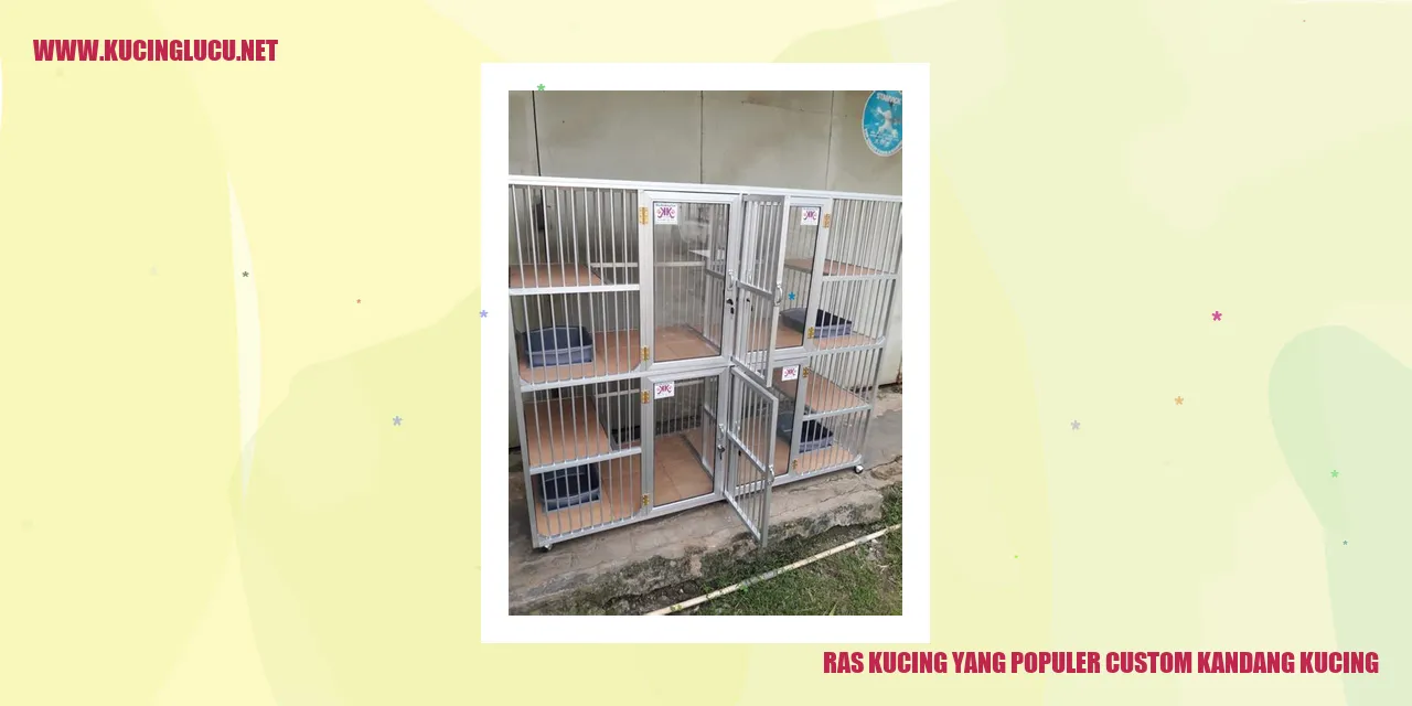 Kucing Yang Menggemaskan