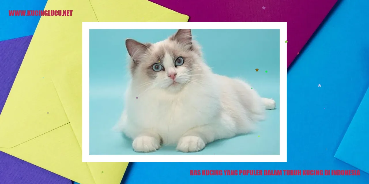 Gambar Ras Kucing