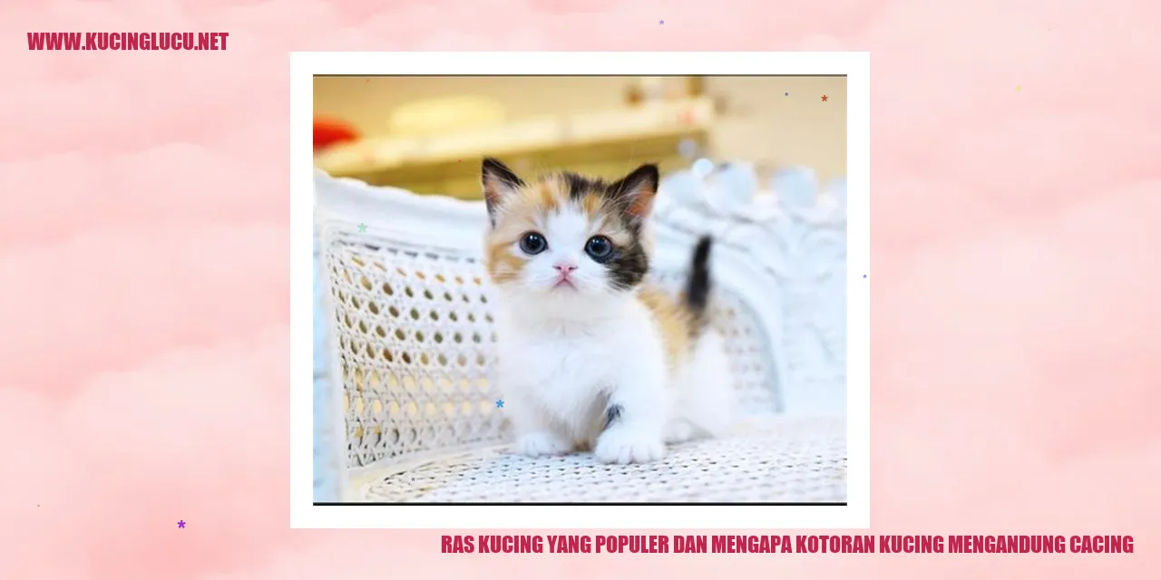 Ras Kucing yang Populer dan Mengapa Kotoran Kucing Mengandung Cacing