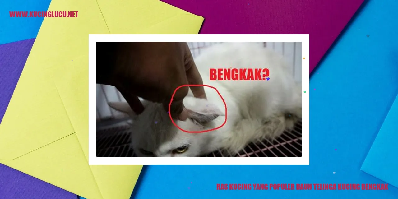 Gambar Kucing dengan Daun Telinga Bengkak