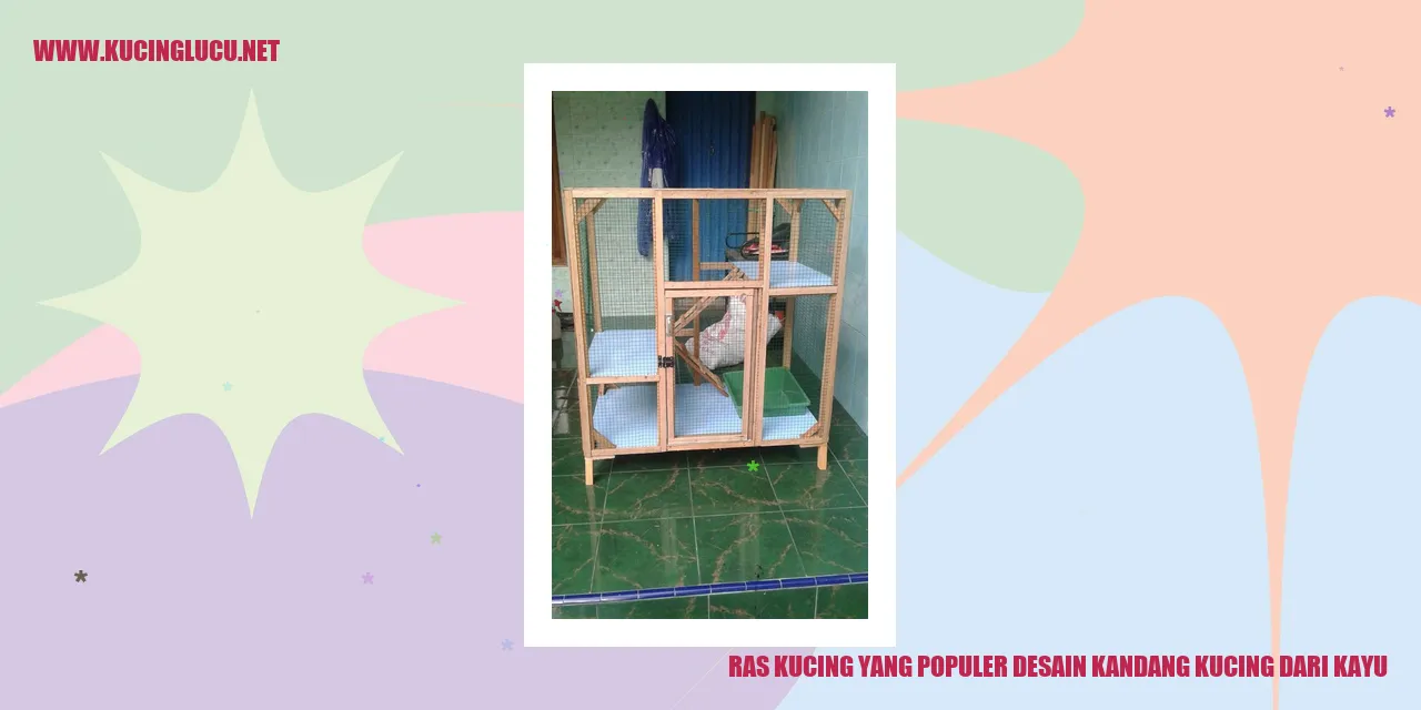 Kucing dengan Kandang Kayu yang Menarik