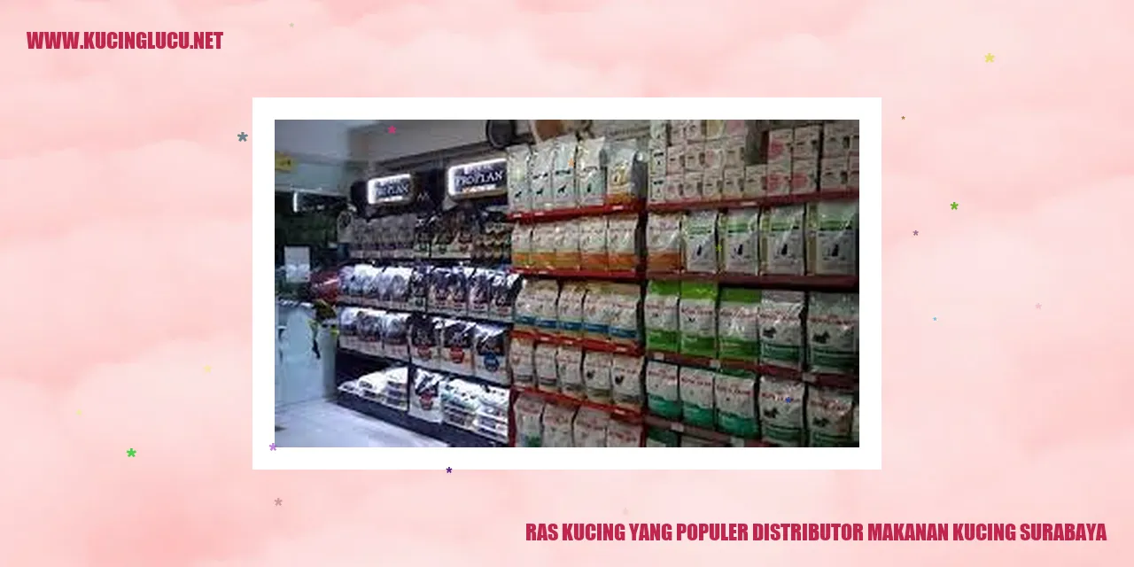 Ras Kucing yang Populer distributor makanan kucing Surabaya