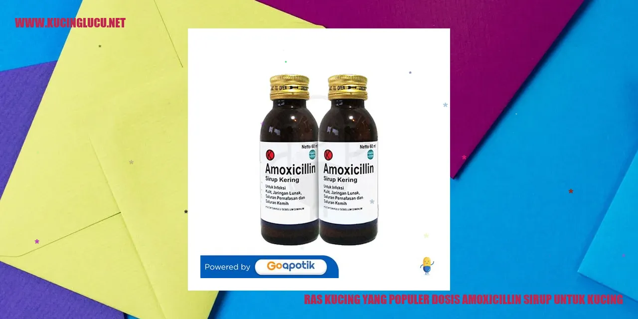 Ras Kucing yang Populer dosis amoxicillin sirup untuk kucing
