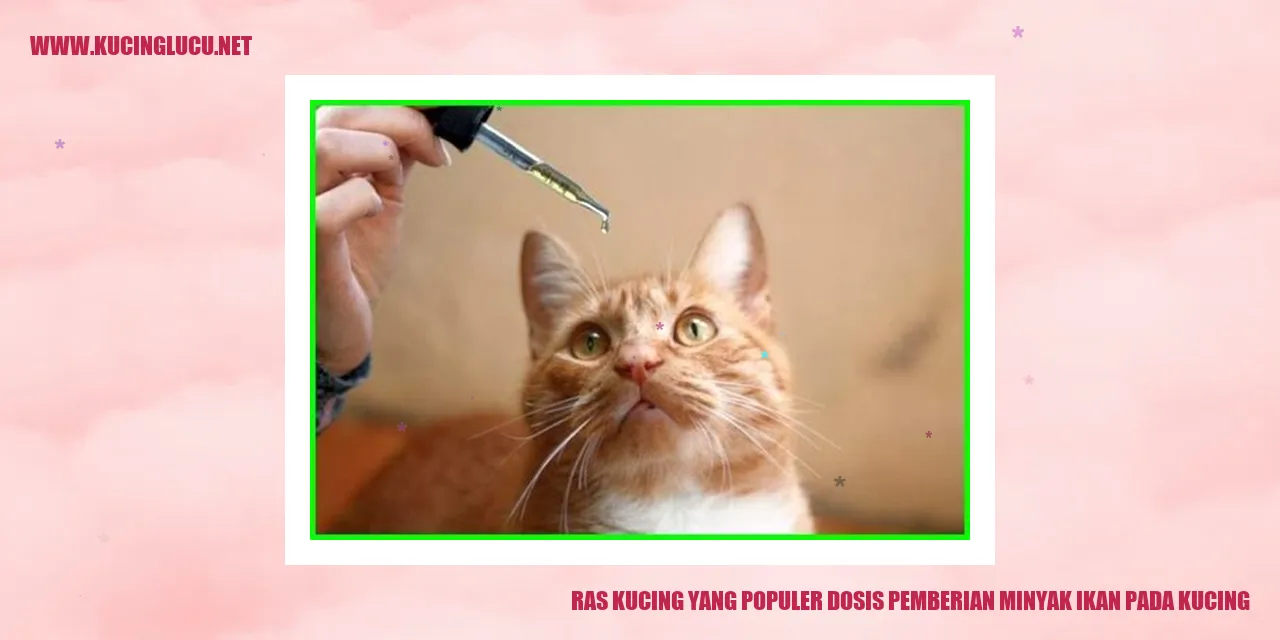 Kucing dengan minyak ikan