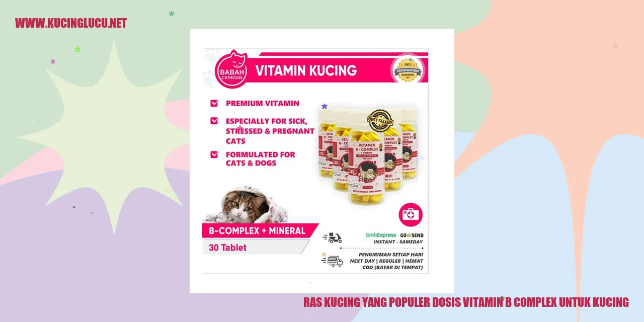 Ras Kucing yang Populer dosis vitamin b complex untuk kucing