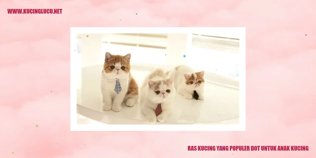 Ras Kucing yang Terkenal untuk Anak Kucing