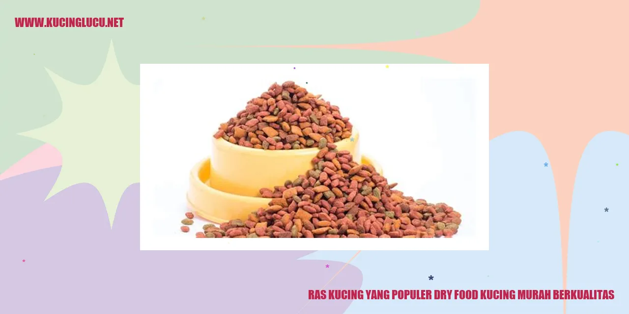 Gambar kucing sedang makan dry food
