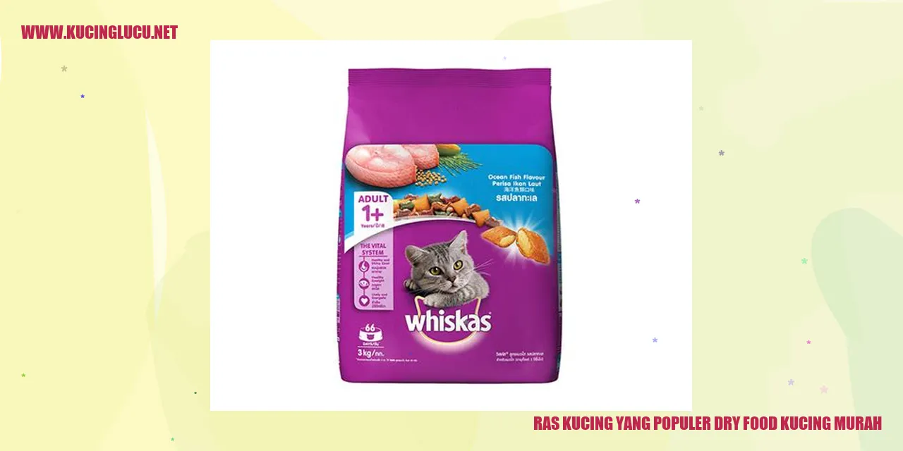 Ras Kucing yang Populer dry food kucing murah