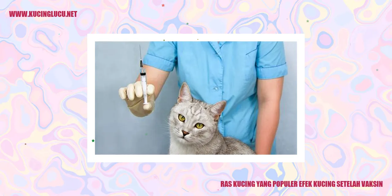 Ras Kucing yang Populer