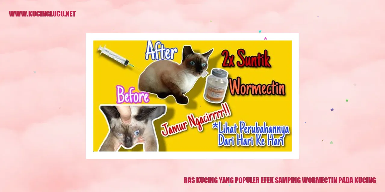 Ras Kucing yang Populer efek samping wormectin pada kucing