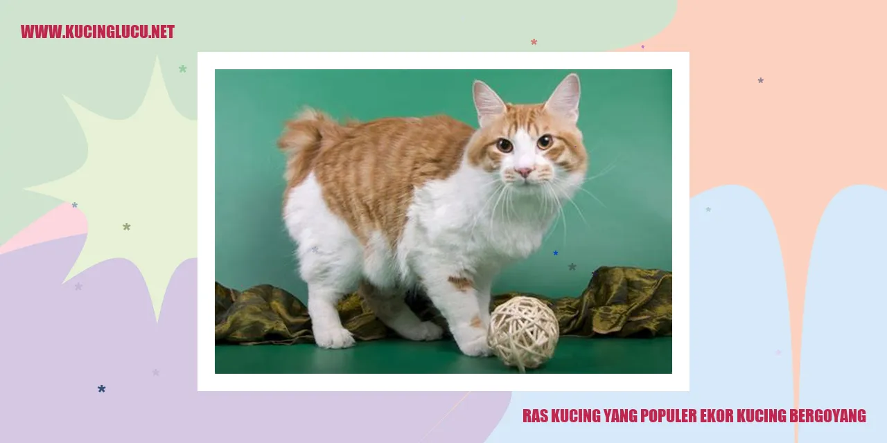 Kucing dengan ekor bergoyang
