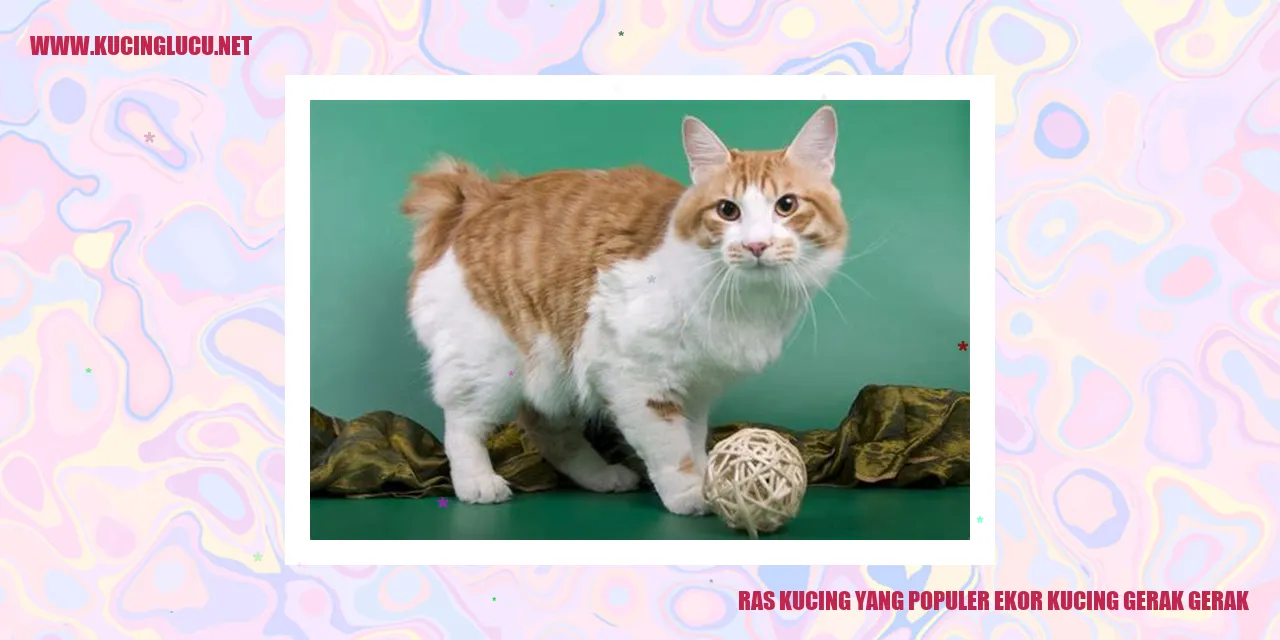 Ras Kucing yang Terkenal: Ekor Kucing yang Hidup dan Bermain