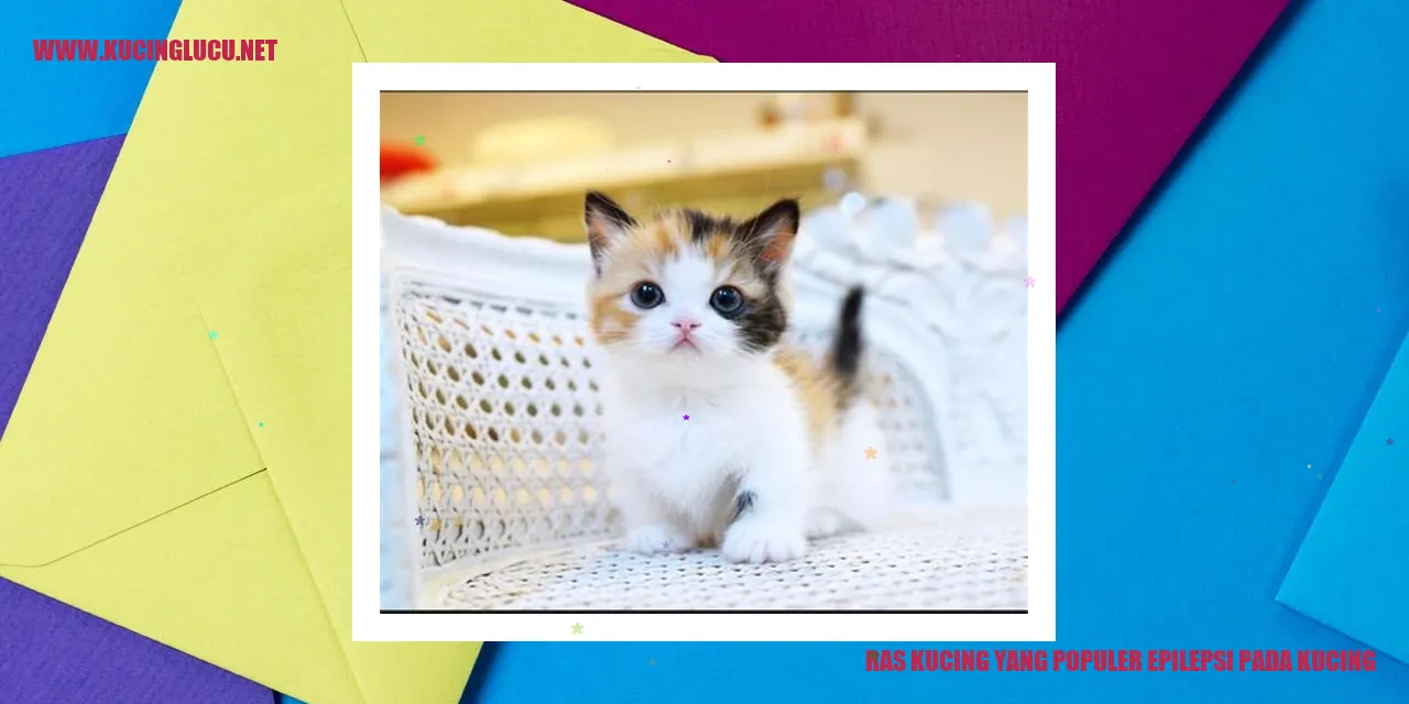 Ras Kucing yang Populer epilepsi pada kucing