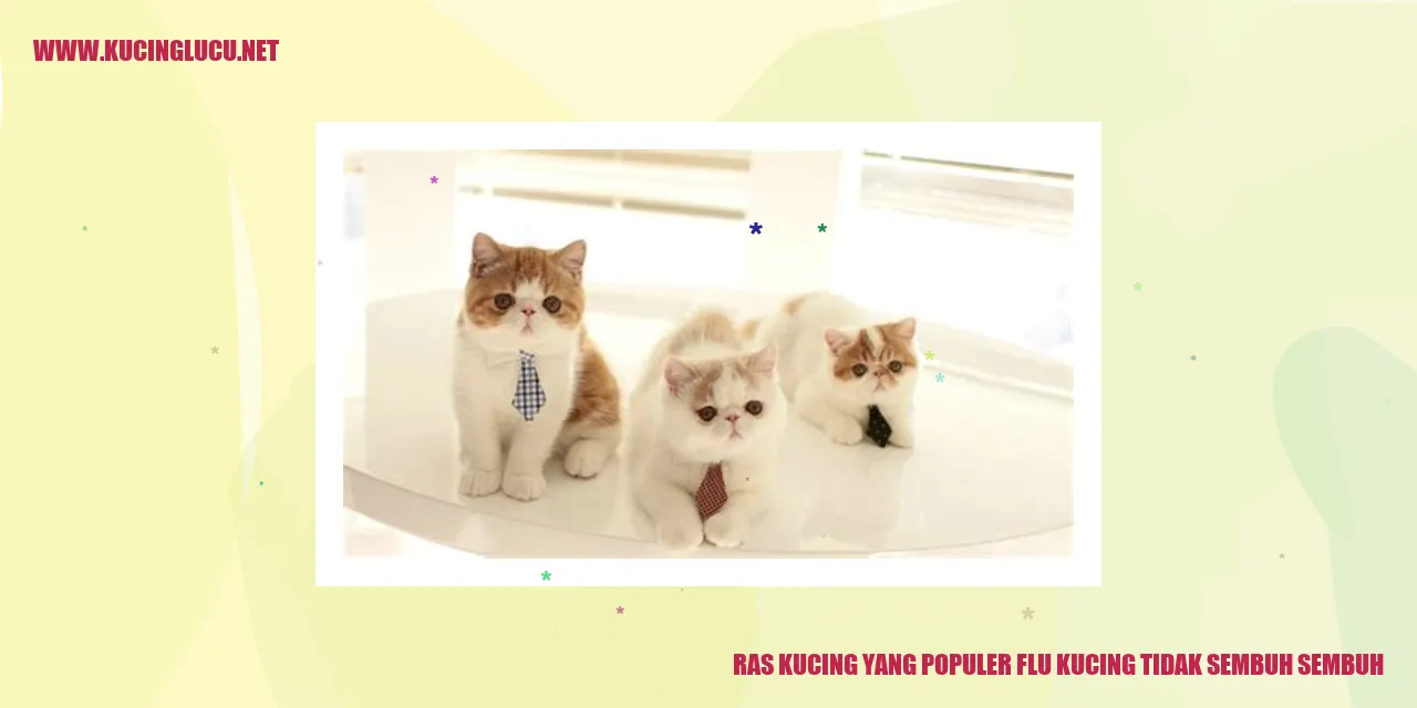 Gambar Kucing Flu