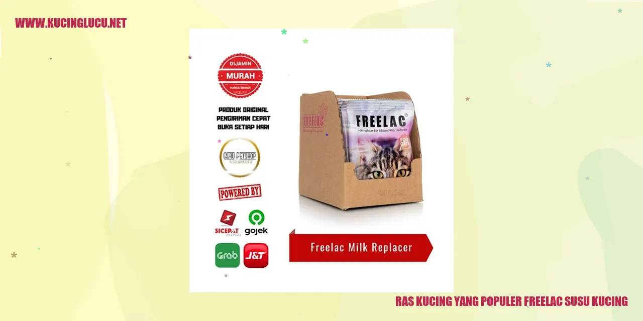 Ras Kucing yang Populer Freelac Susu Kucing