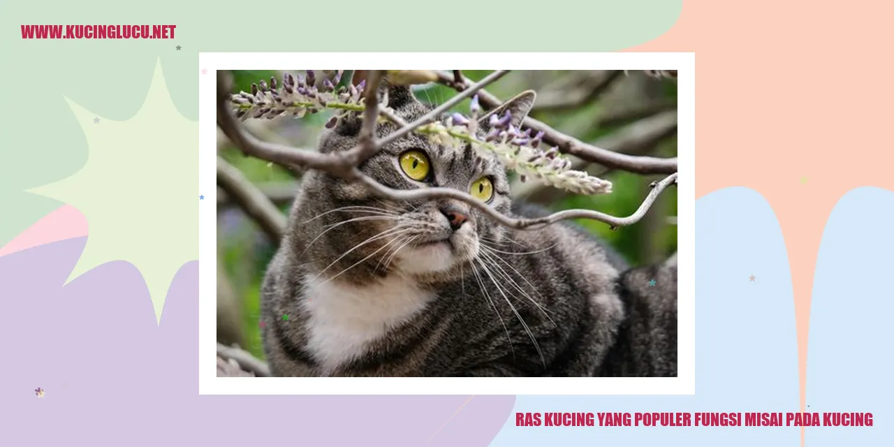 Gambar Kucing dengan Misai yang Menarik