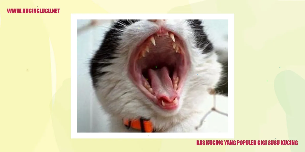 Ras Kucing yang Terkenal: Gigi Susu Kucing