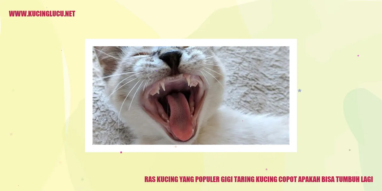 Kucing dengan gigi taring copot