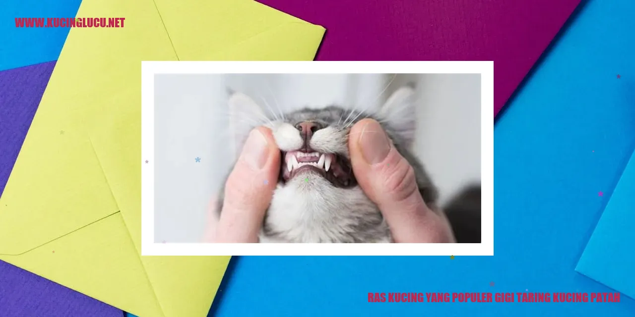 Kucing dengan gigi taring patah