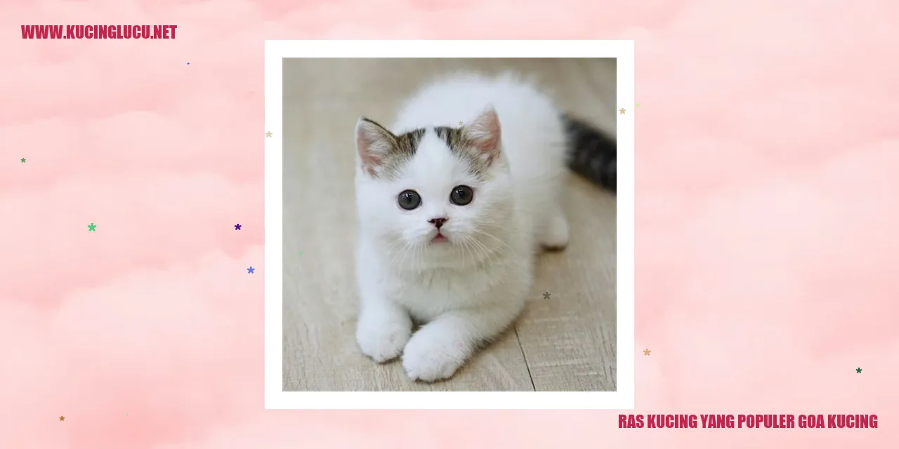 Kucing Goa