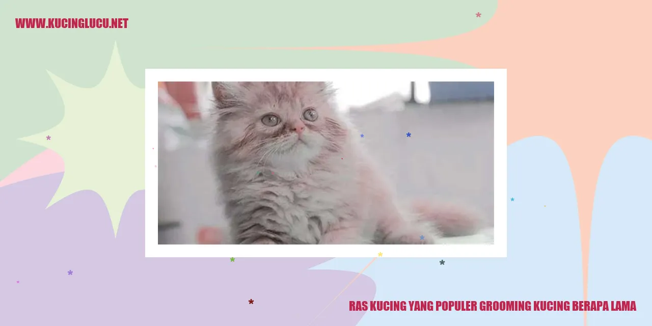 Kucing dengan Grooming Terkenal
