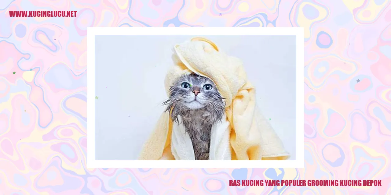 Ras Kucing yang Terkenal grooming kucing depok