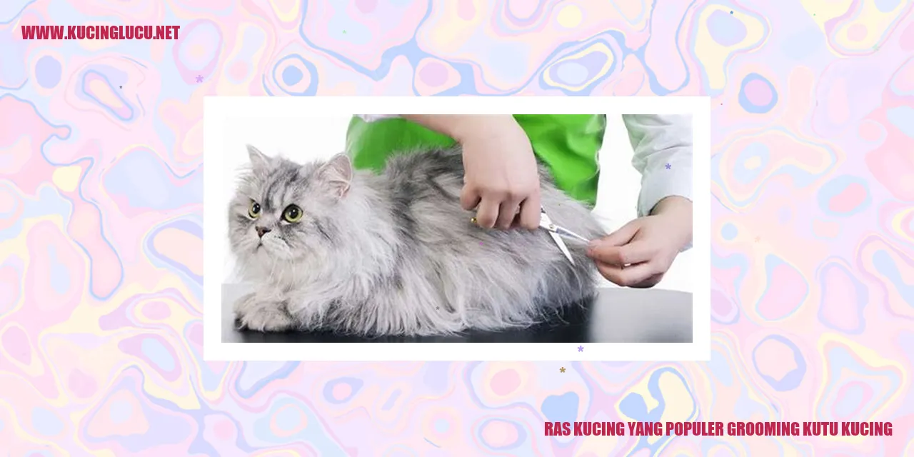 Gambar kucing sedang merawat diri