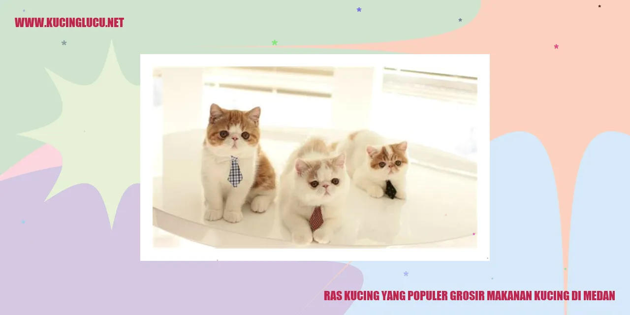 Kucing Lucu