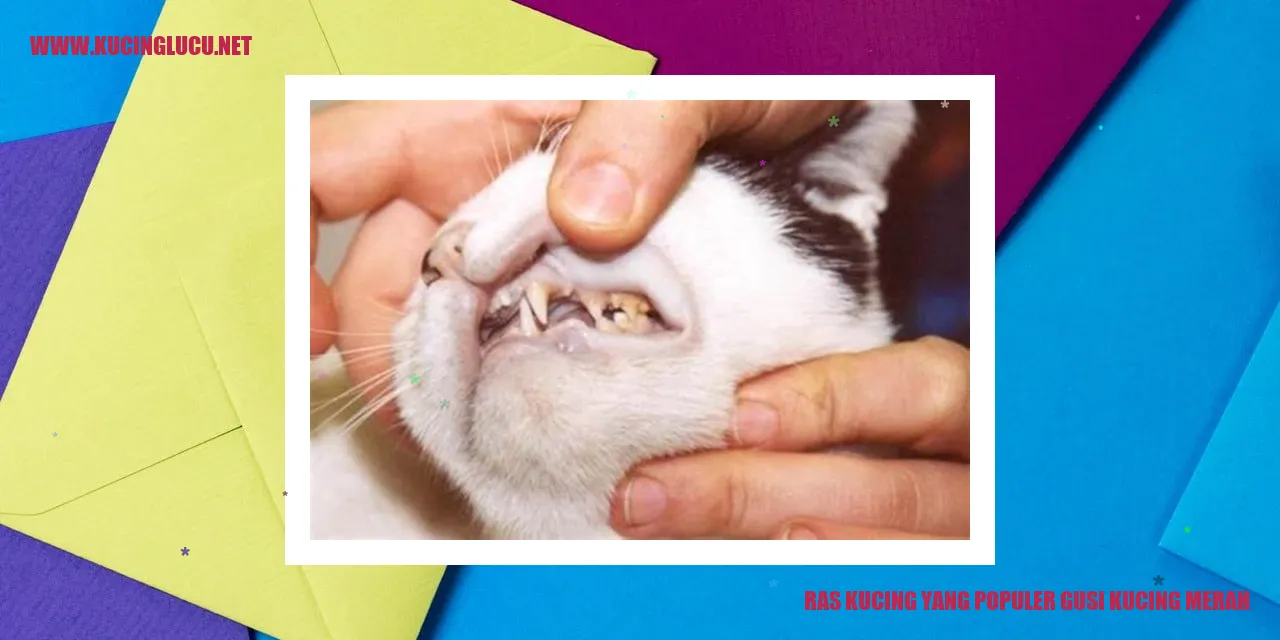 Kucing dengan Gusi Berwarna Merah