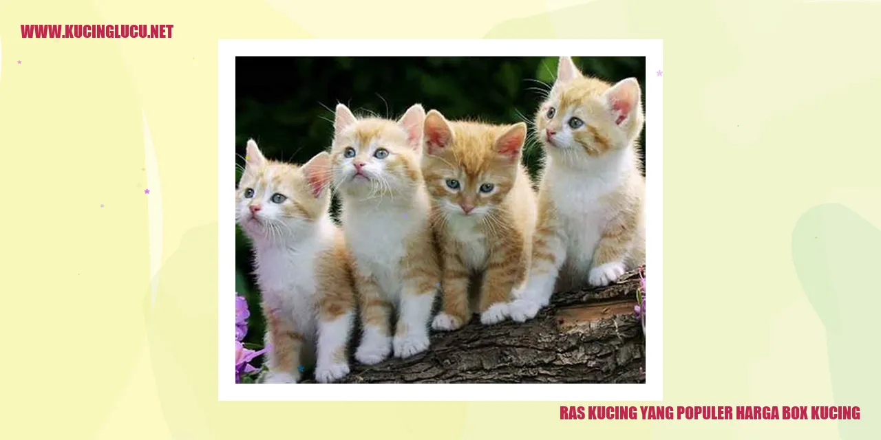 Gambar Ragam Ras Kucing Popular dan Harga Perkandangan Kucing