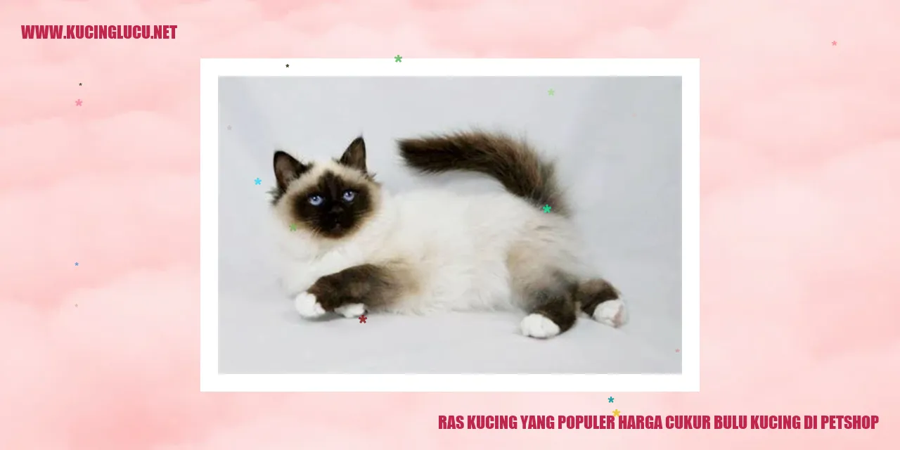 Ras Kucing yang Populer harga cukur bulu kucing di petshop