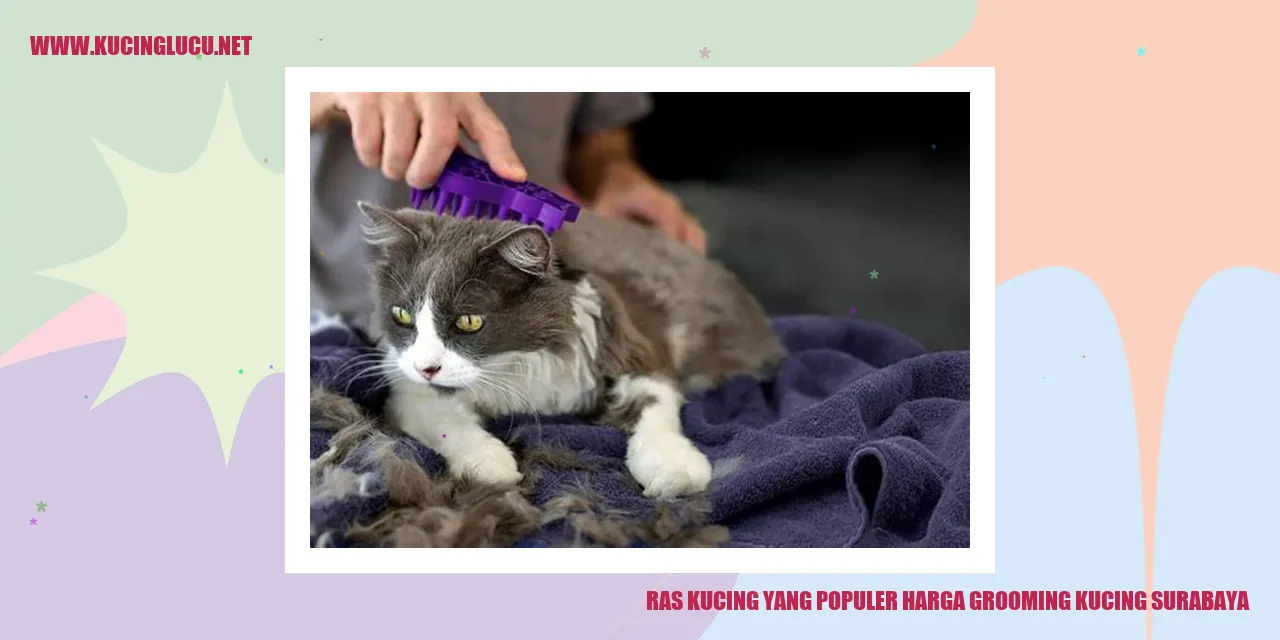 Kucing Ras yang Populer di Surabaya