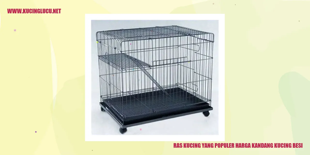 Ras Kucing yang Populer dan Harga Kandang Kucing Besi