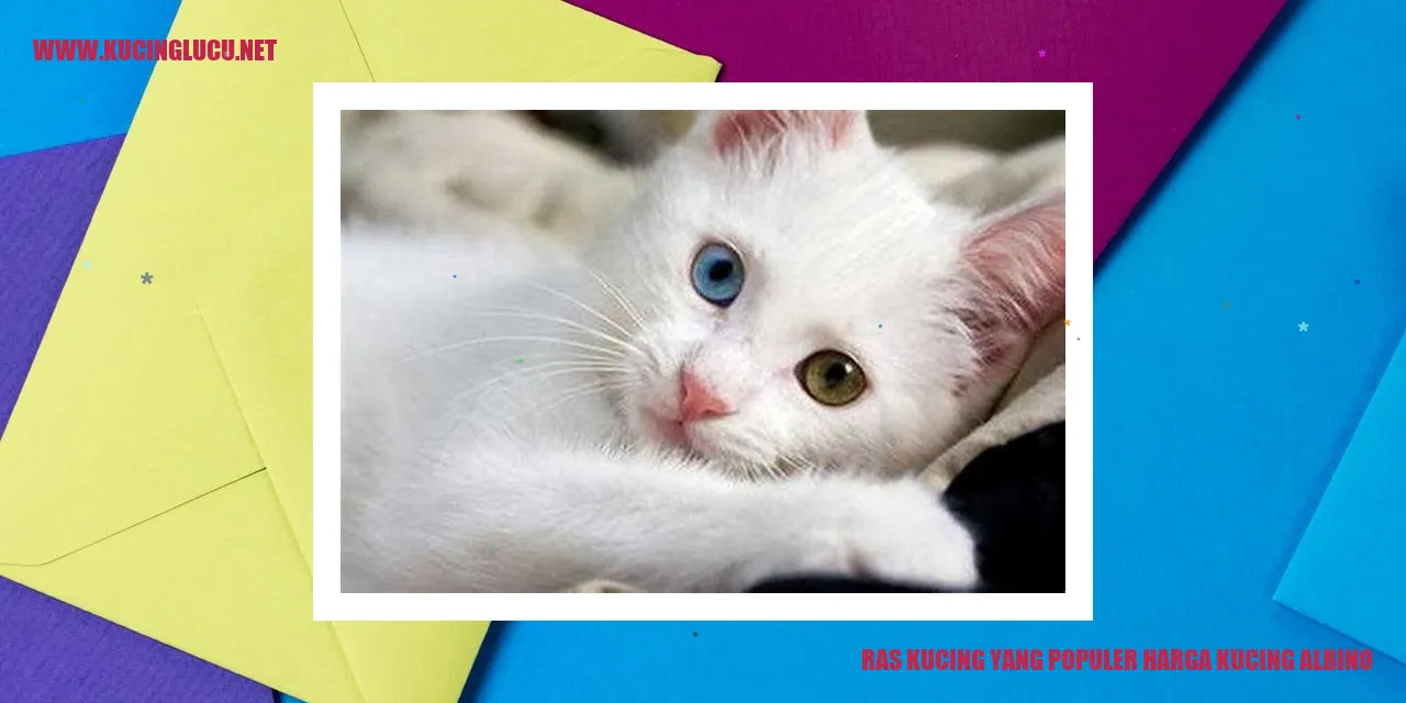 Ras Kucing yang Populer harga kucing albino