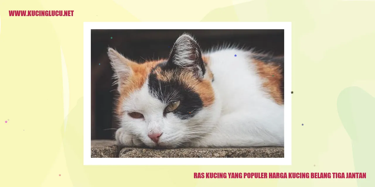 Ras Kucing yang Populer