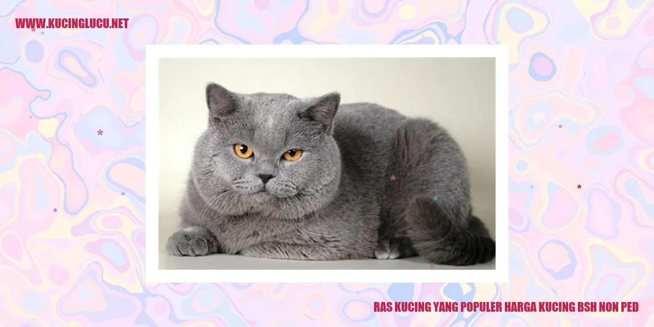 Ras Kucing yang Terkenal