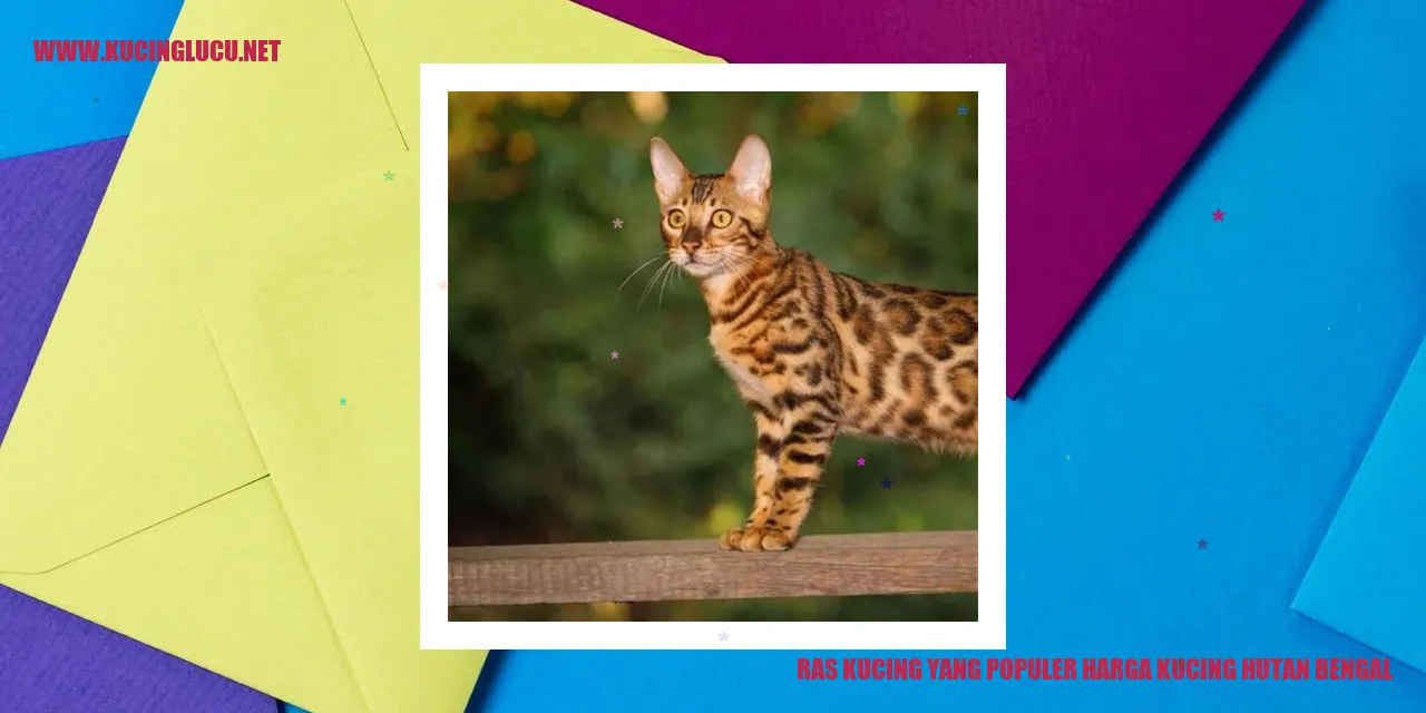 Gambar Kucing Bengal