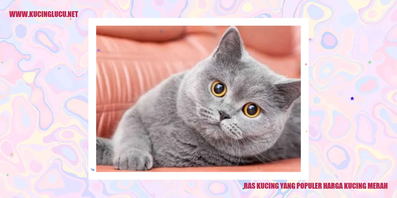Ilustrasi kucing merah