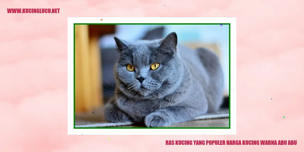 Ras Kucing yang Populer harga kucing warna abu abu